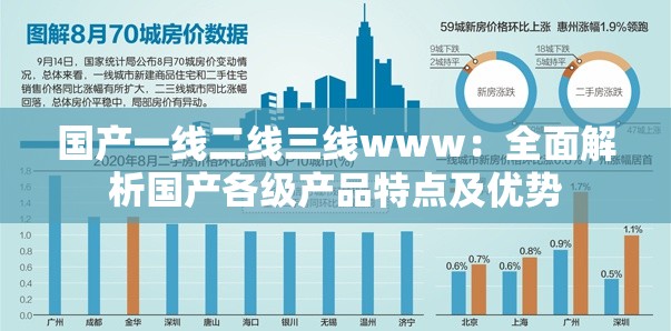 国产一线二线三线www：全面解析国产各级产品特点及优势