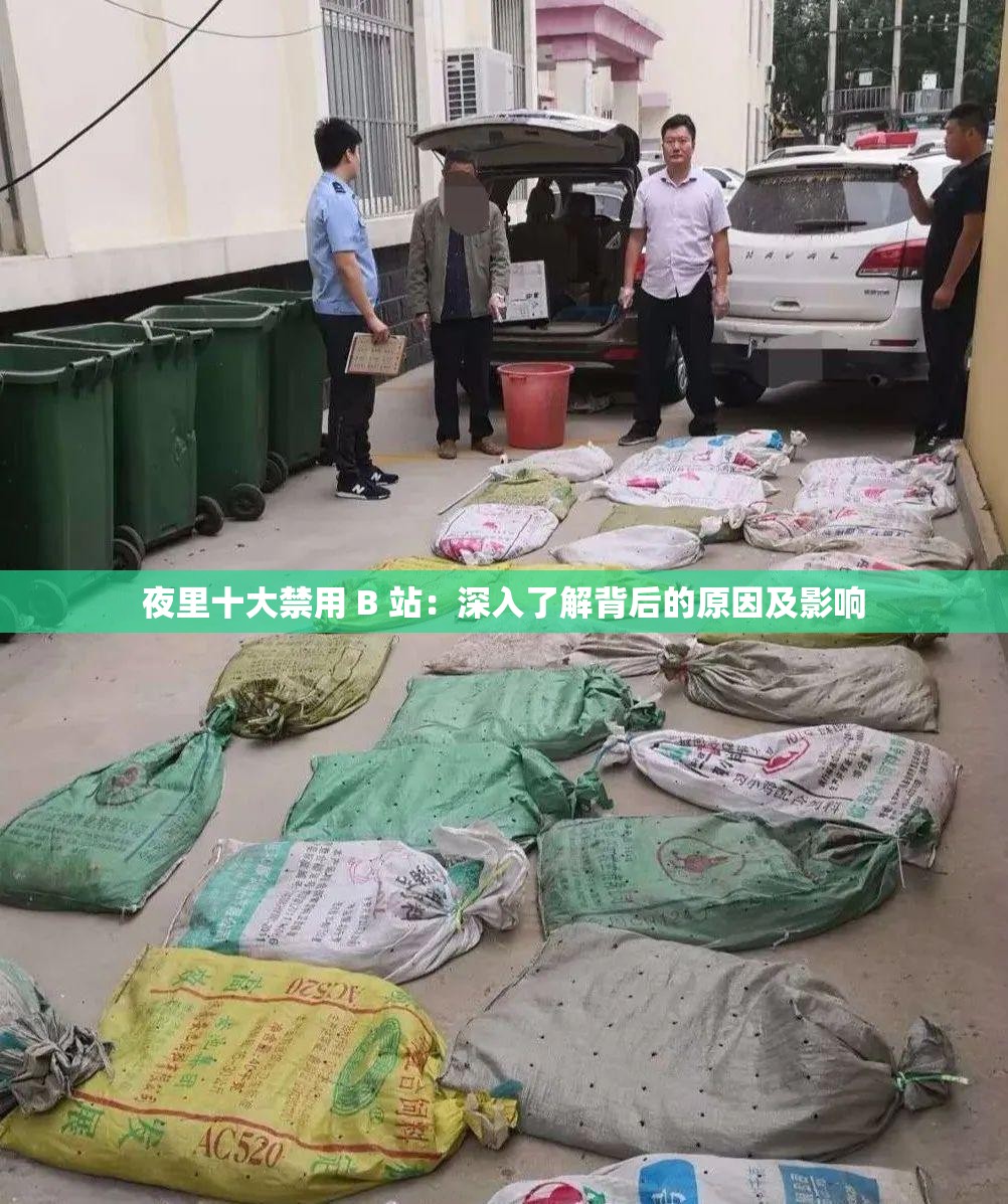 夜里十大禁用 B 站：深入了解背后的原因及影响