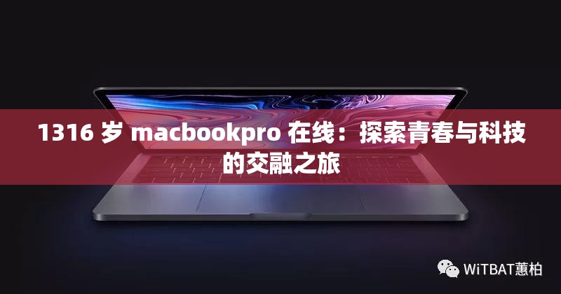 1316 岁 macbookpro 在线：探索青春与科技的交融之旅