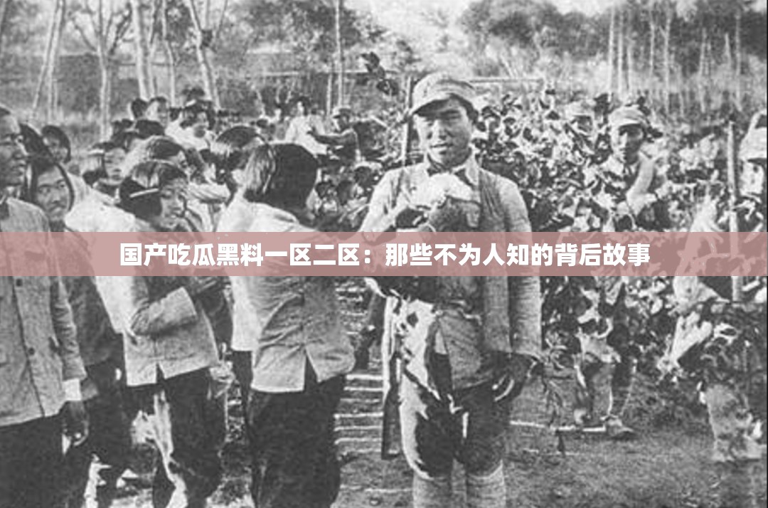 国产吃瓜黑料一区二区：那些不为人知的背后故事