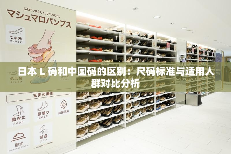日本 L 码和中国码的区别：尺码标准与适用人群对比分析