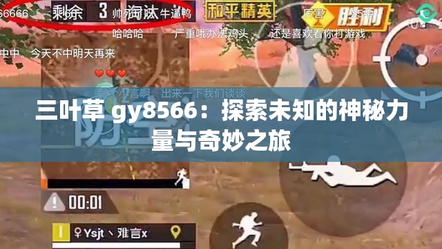 三叶草 gy8566：探索未知的神秘力量与奇妙之旅