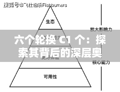 六个轮换 C1 个：探索其背后的深层奥秘与价值