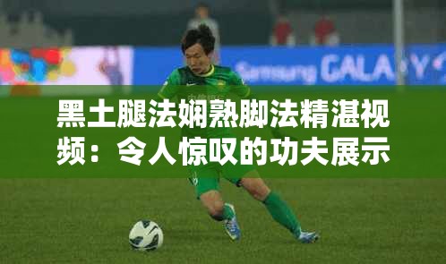 黑土腿法娴熟脚法精湛视频：令人惊叹的功夫展示