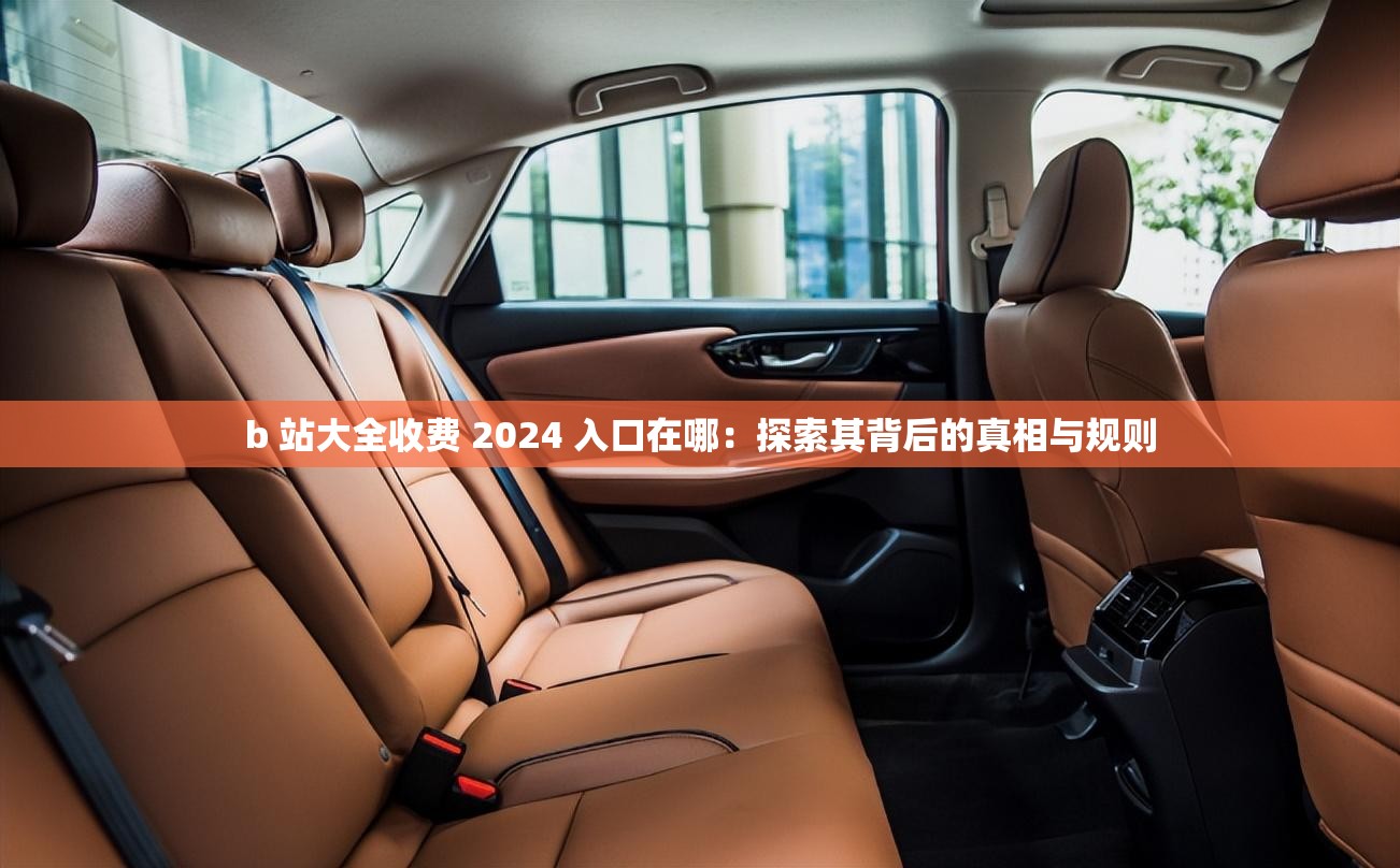 b 站大全收费 2024 入口在哪：探索其背后的真相与规则