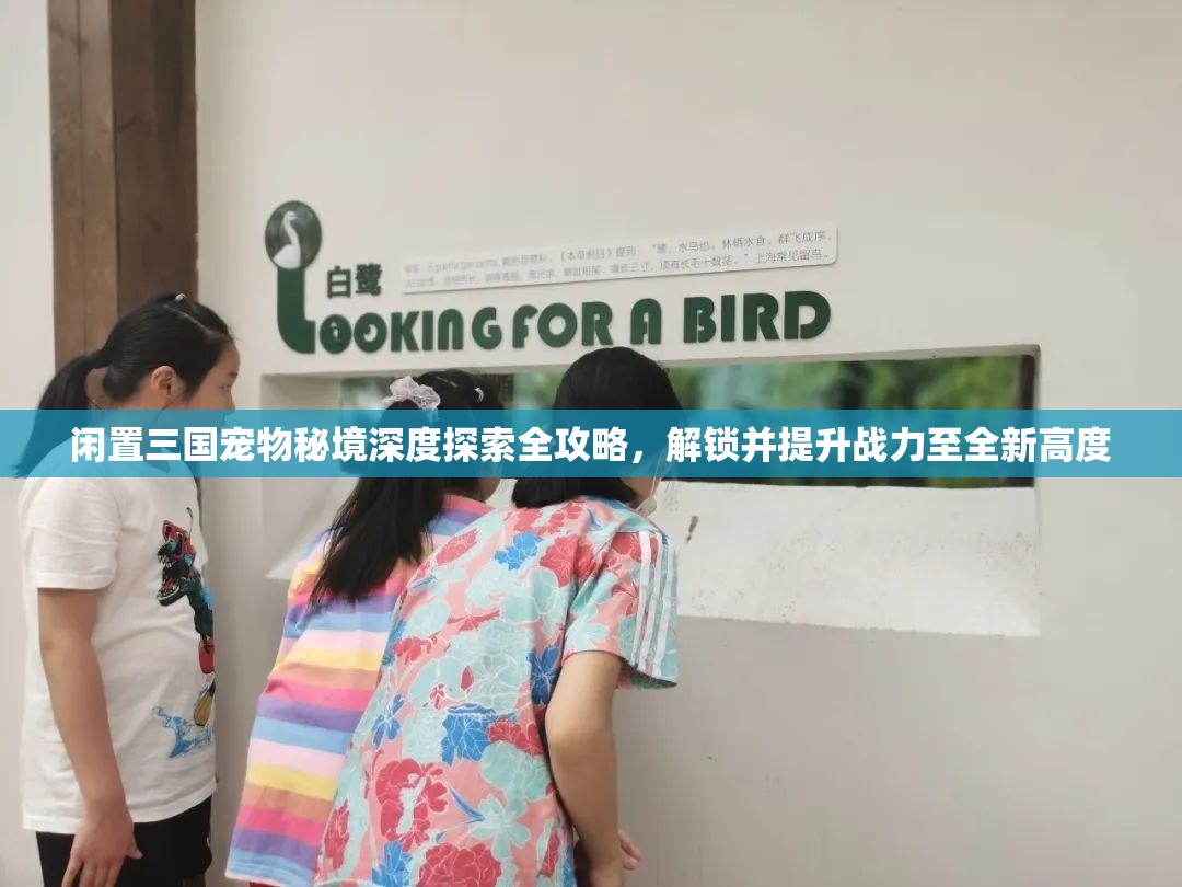 闲置三国宠物秘境深度探索全攻略，解锁并提升战力至全新高度