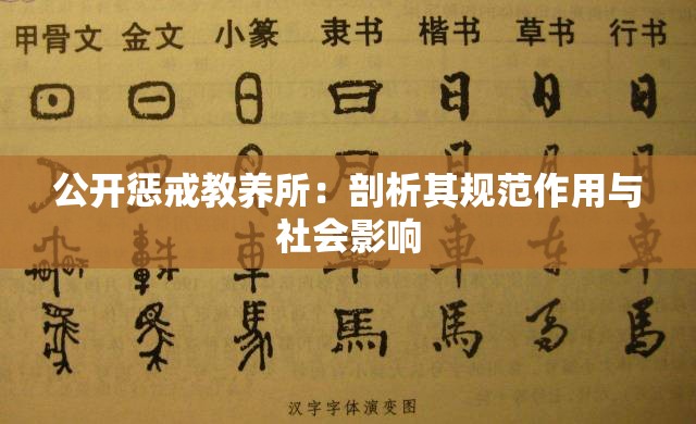 公开惩戒教养所：剖析其规范作用与社会影响