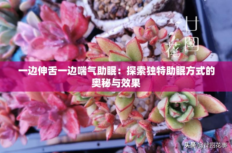 一边伸舌一边喘气助眠：探索独特助眠方式的奥秘与效果