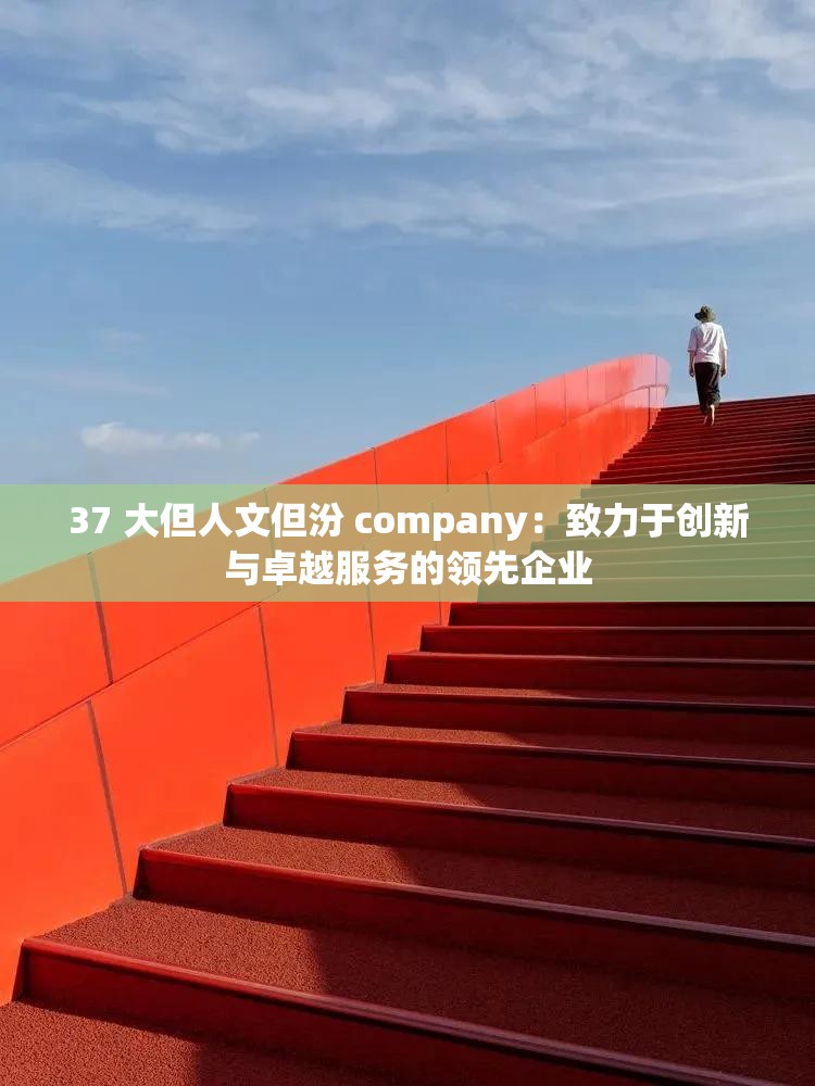 37 大但人文但汾 company：致力于创新与卓越服务的领先企业
