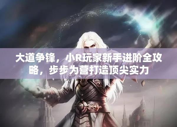 大道争锋，小R玩家新手进阶全攻略，步步为营打造顶尖实力