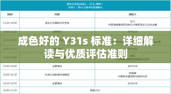 成色好的 Y31s 标准：详细解读与优质评估准则