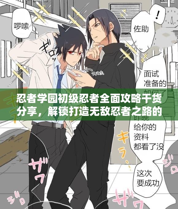 忍者学园初级忍者全面攻略干货分享，解锁打造无敌忍者之路的终极秘籍