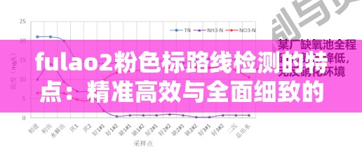 fulao2粉色标路线检测的特点：精准高效与全面细致的分析