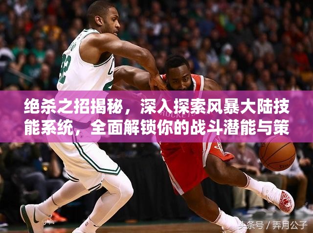 绝杀之招揭秘，深入探索风暴大陆技能系统，全面解锁你的战斗潜能与策略