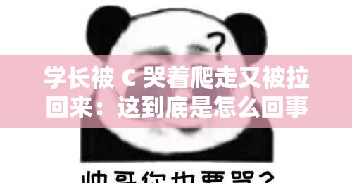学长被 C 哭着爬走又被拉回来：这到底是怎么回事