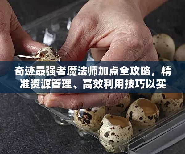 奇迹最强者魔法师加点全攻略，精准资源管理、高效利用技巧以实现属性最大化价值