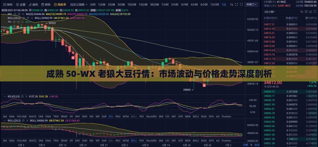 成熟 50-WX 老狼大豆行情：市场波动与价格走势深度剖析
