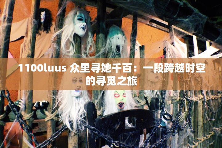1100luus 众里寻她千百：一段跨越时空的寻觅之旅