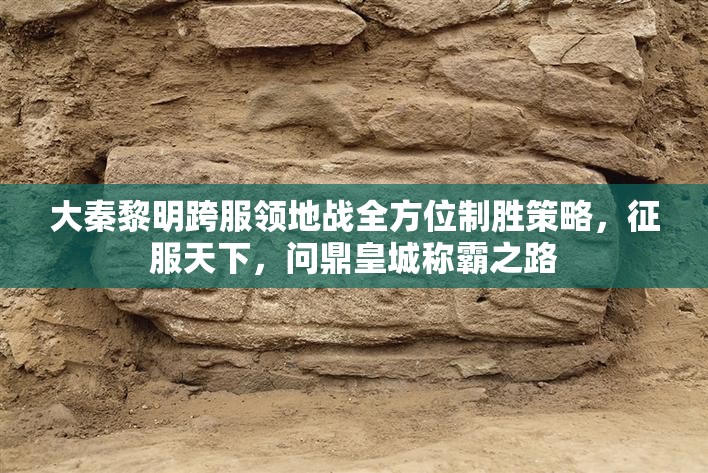 大秦黎明跨服领地战全方位制胜策略，征服天下，问鼎皇城称霸之路