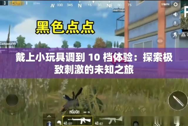 戴上小玩具调到 10 档体验：探索极致刺激的未知之旅