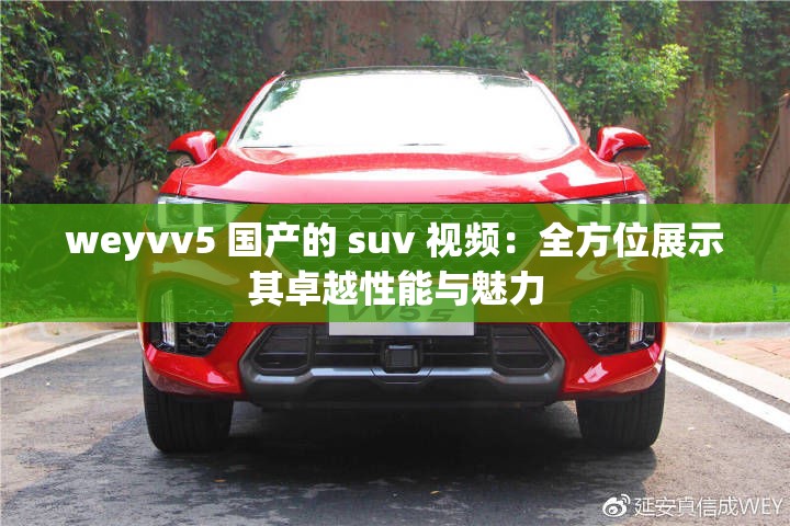 weyvv5 国产的 suv 视频：全方位展示其卓越性能与魅力
