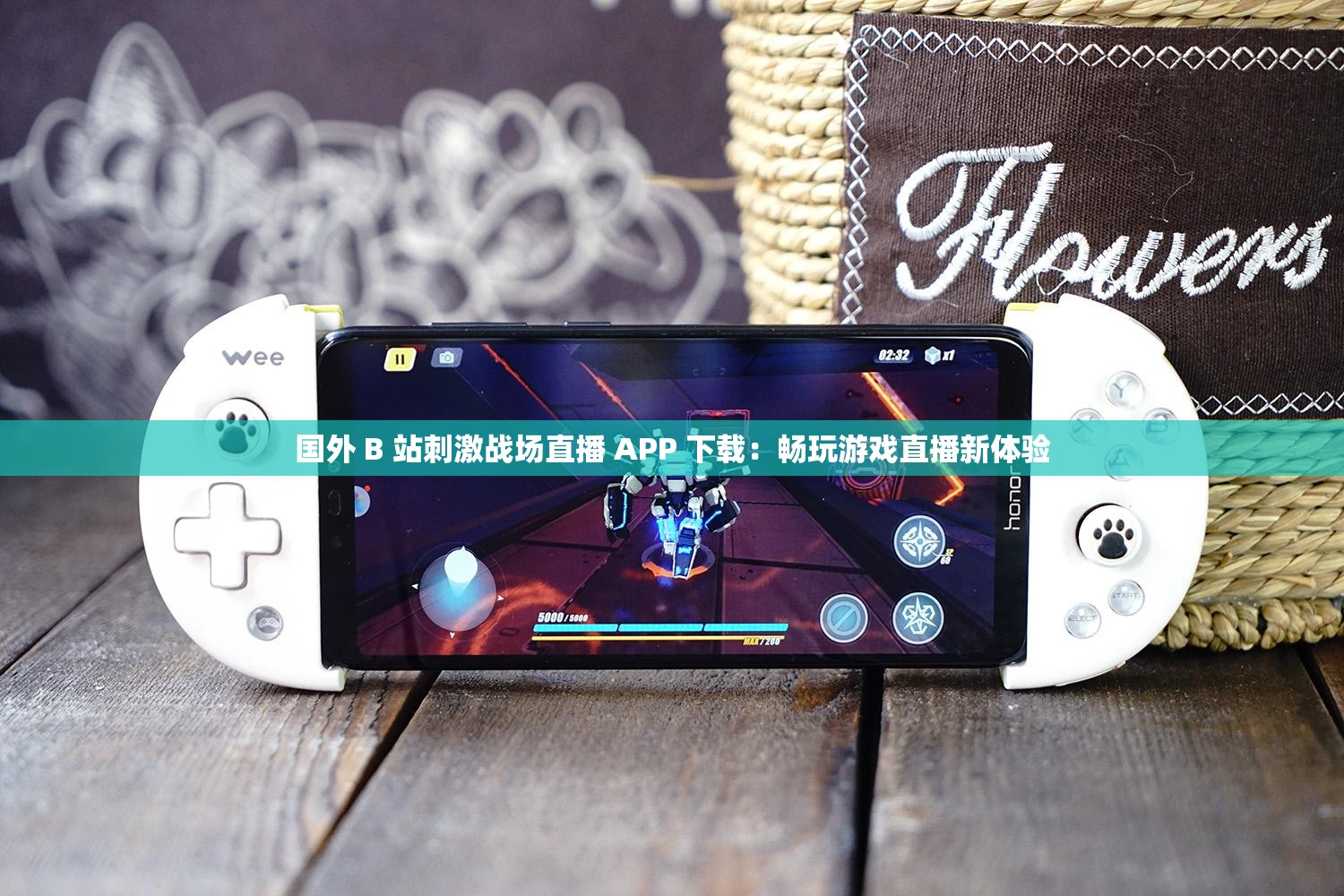 国外 B 站刺激战场直播 APP 下载：畅玩游戏直播新体验