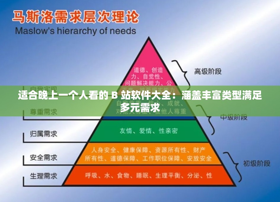 适合晚上一个人看的 B 站软件大全：涵盖丰富类型满足多元需求