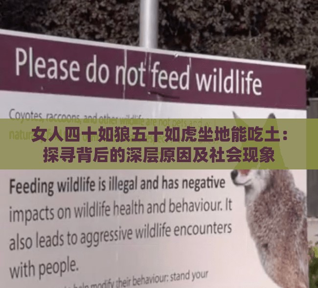 女人四十如狼五十如虎坐地能吃土：探寻背后的深层原因及社会现象