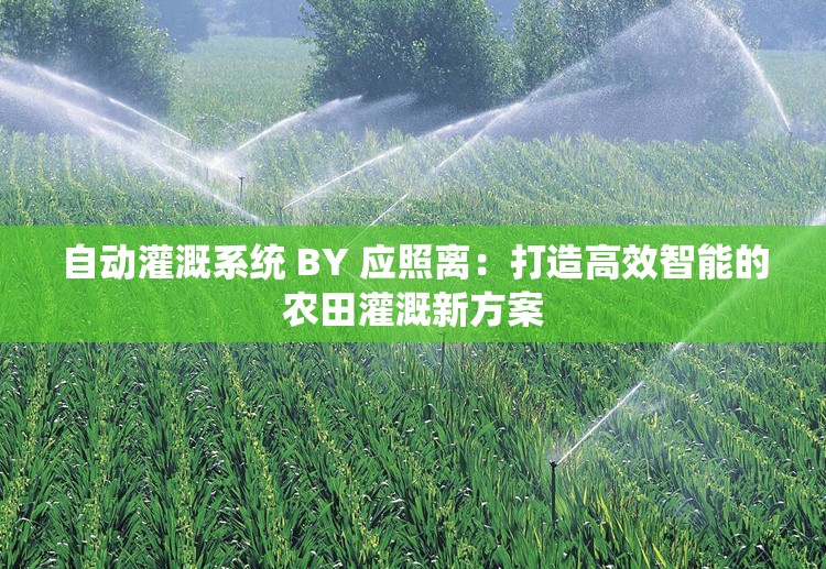 自动灌溉系统 BY 应照离：打造高效智能的农田灌溉新方案