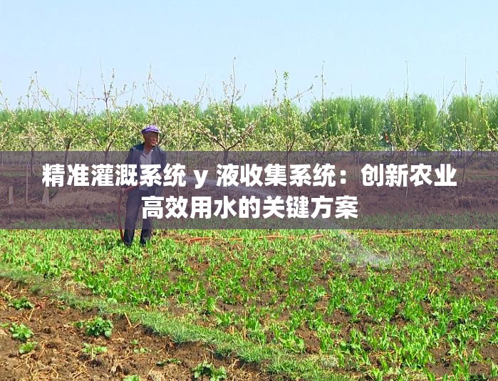精准灌溉系统 y 液收集系统：创新农业高效用水的关键方案