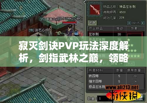 寂灭剑诀PVP玩法深度解析，剑指武林之巅，领略极致对战快感