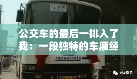 公交车的最后一排入了我：一段独特的车厢经历