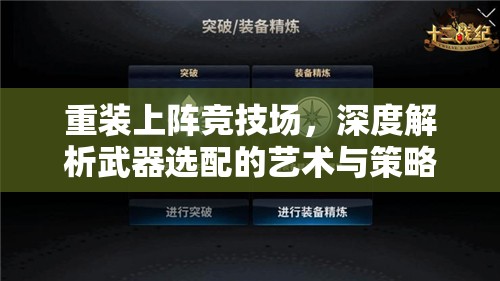 重装上阵竞技场，深度解析武器选配的艺术与策略