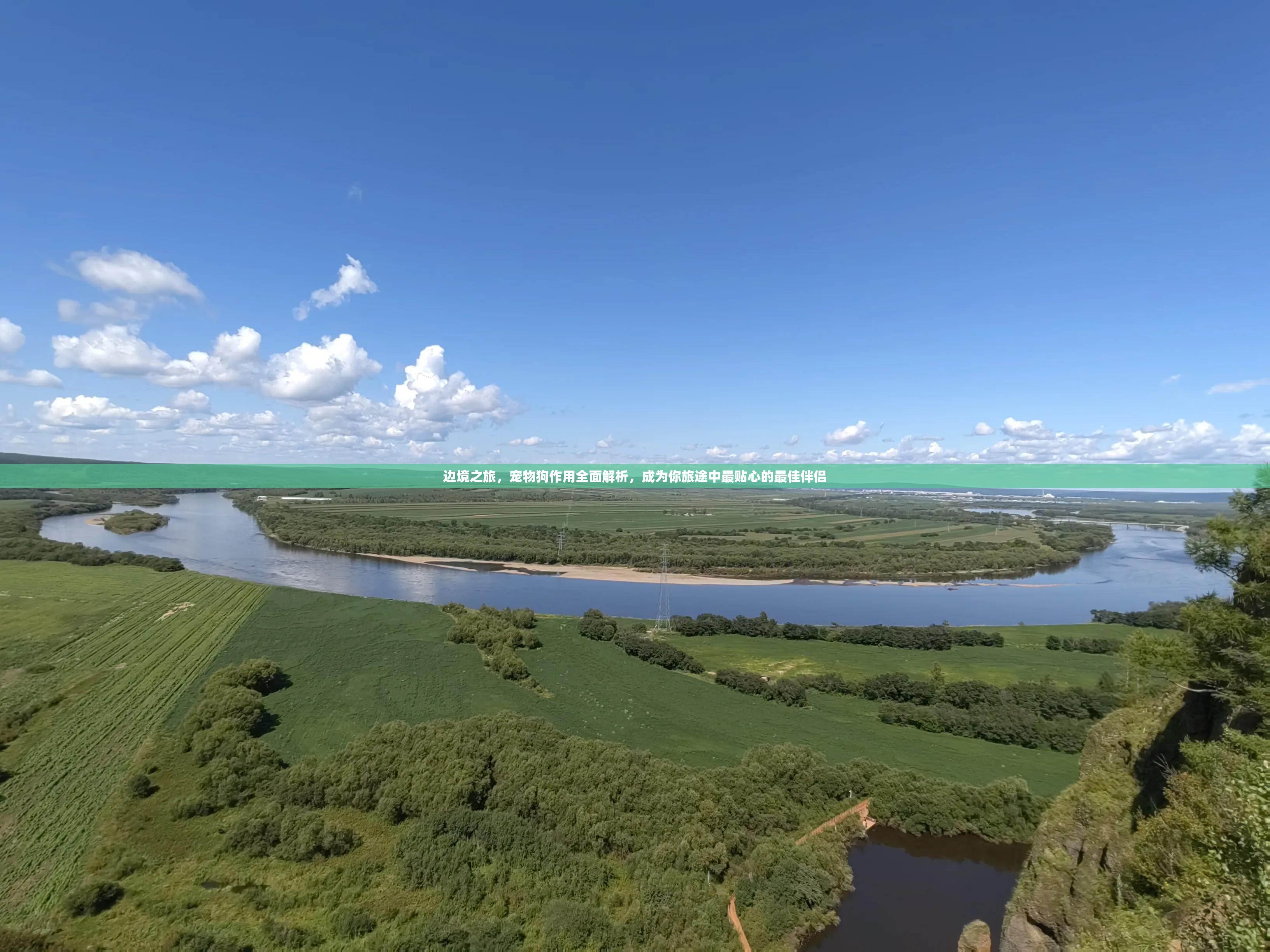 边境之旅，宠物狗作用全面解析，成为你旅途中最贴心的最佳伴侣