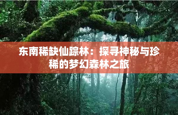 东南稀缺仙踪林：探寻神秘与珍稀的梦幻森林之旅