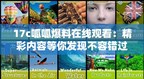 17c呱呱爆料在线观看：精彩内容等你发现不容错过