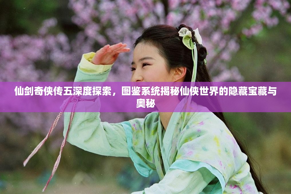 仙剑奇侠传五深度探索，图鉴系统揭秘仙侠世界的隐藏宝藏与奥秘