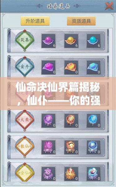 仙命决仙界篇揭秘，仙仆——你的强大得力助手与不可或缺的探险伙伴