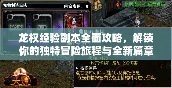 龙权经验副本全面攻略，解锁你的独特冒险旅程与全新篇章