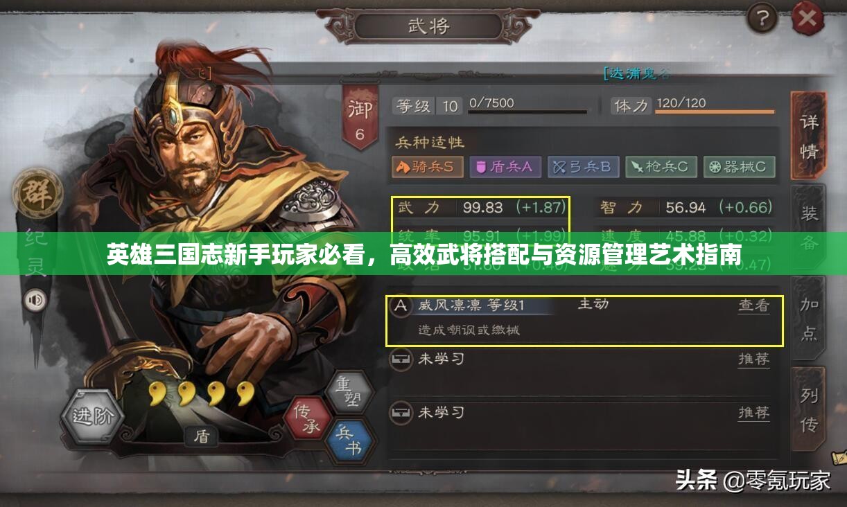 英雄三国志新手玩家必看，高效武将搭配与资源管理艺术指南