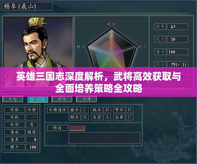 英雄三国志深度解析，武将高效获取与全面培养策略全攻略