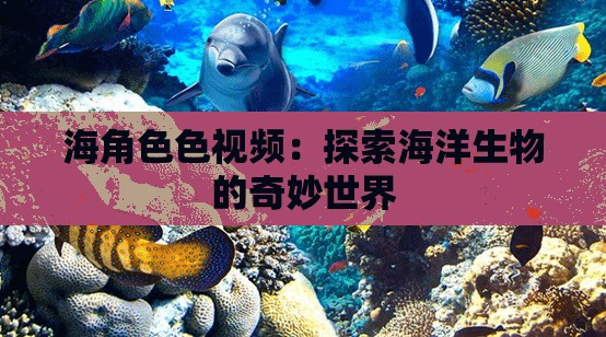 海角色色视频：探索海洋生物的奇妙世界