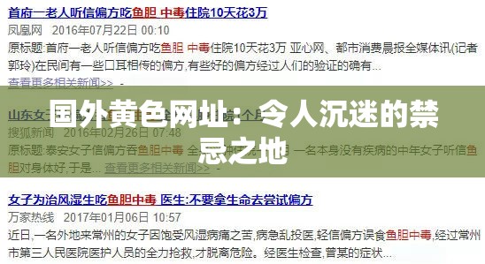 国外黄色网址：令人沉迷的禁忌之地