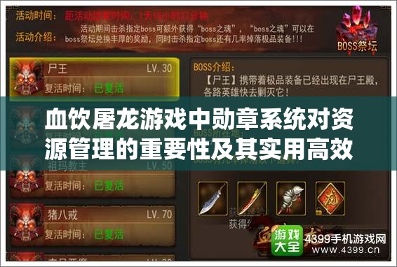 血饮屠龙游戏中勋章系统对资源管理的重要性及其实用高效利用策略解析