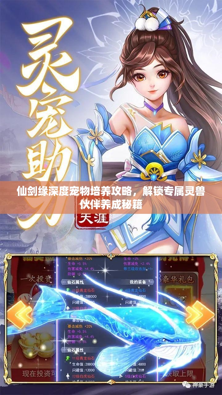 仙剑缘深度宠物培养攻略，解锁专属灵兽伙伴养成秘籍