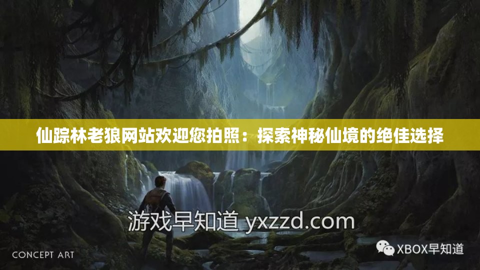 仙踪林老狼网站欢迎您拍照：探索神秘仙境的绝佳选择