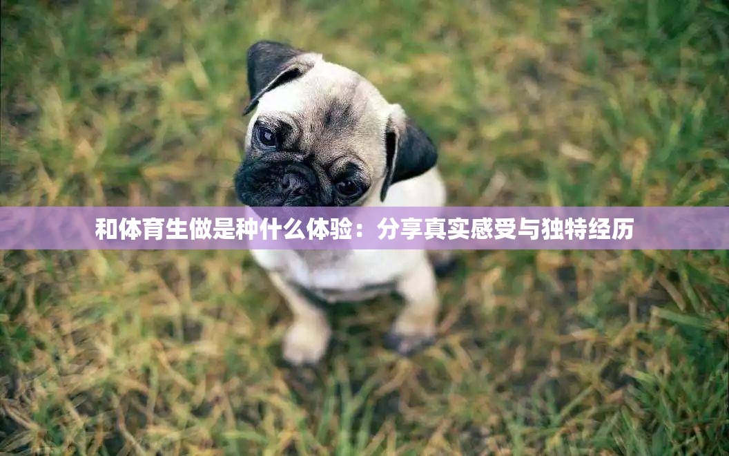 和体育生做是种什么体验：分享真实感受与独特经历