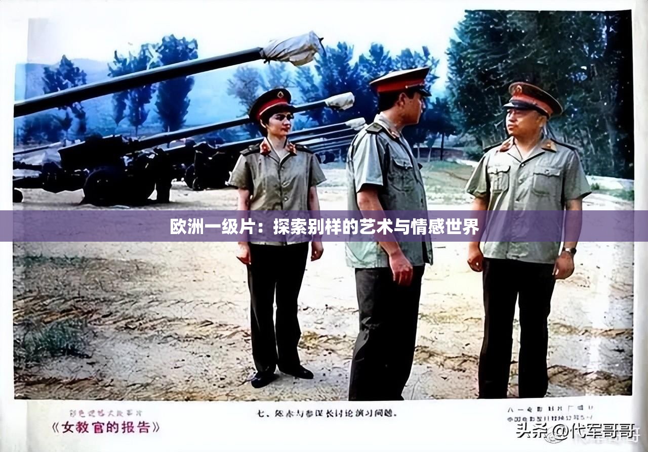 欧洲一级片：探索别样的艺术与情感世界