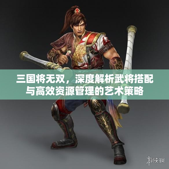 三国将无双，深度解析武将搭配与高效资源管理的艺术策略