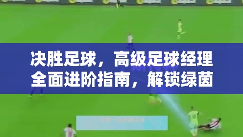 决胜足球，高级足球经理全面进阶指南，解锁绿茵场上无与伦比的制胜秘籍